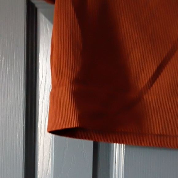 Wild Fable Rust Ribbed Crop Top - Picture 4 of 5